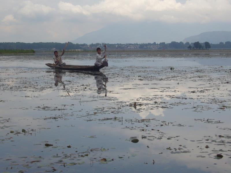 Travel - India - Kashmir - Srinagar - Shikara Ride